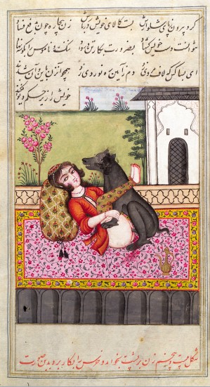 Podręcznik zoofilii z XV wieku, Iran